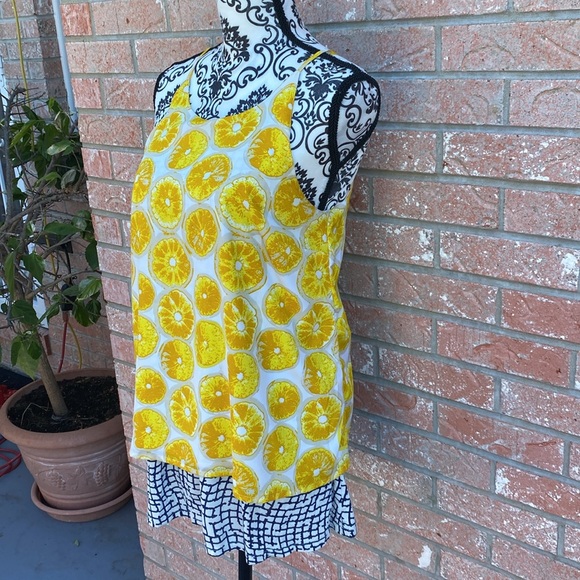 Lemon Tank - Picture 2 of 4